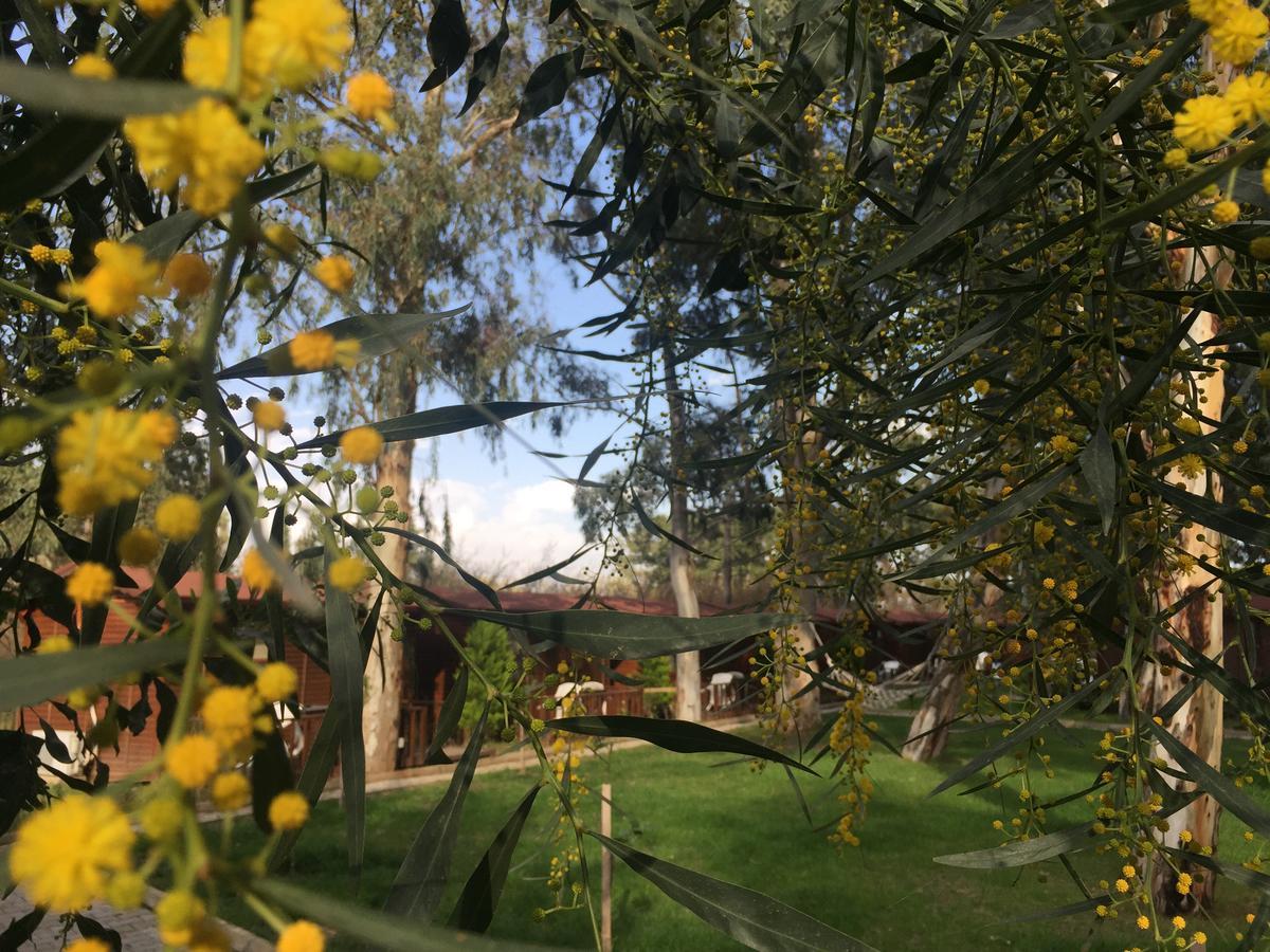 Lemonpark House Ξενοδοχείο Αττάλεια Εξωτερικό φωτογραφία