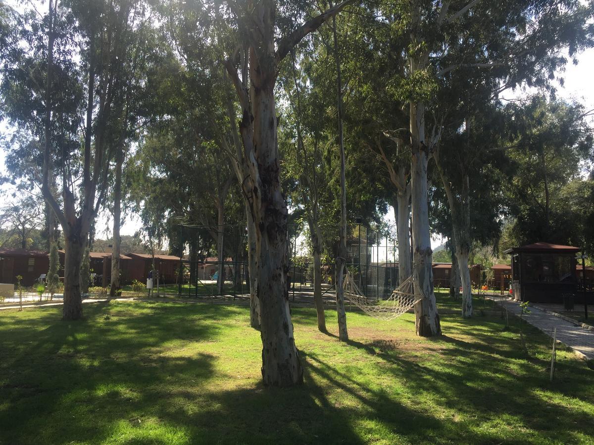 Lemonpark House Ξενοδοχείο Αττάλεια Εξωτερικό φωτογραφία